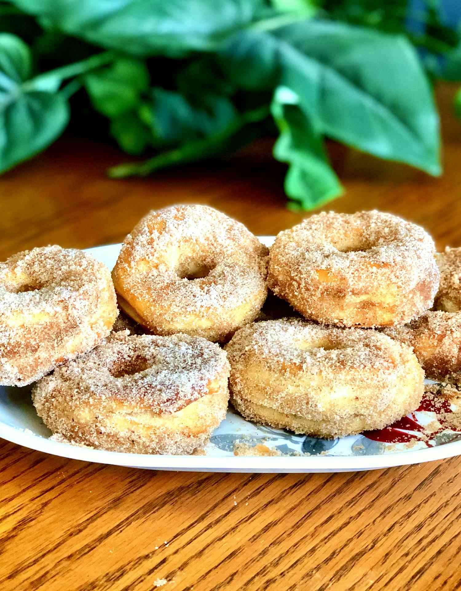 Air Fryer Cinnamon-Sugar Doughnuts Recipe