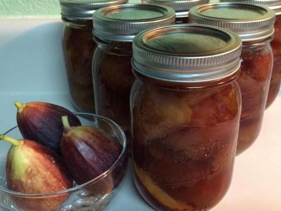 Fig Preserves Recipe