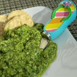 Cilantro Jalapeno Pesto with Lime Recipe