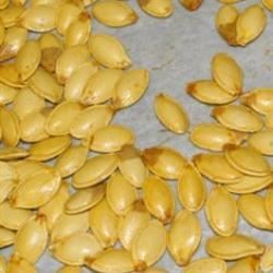 Best Roasted Pumpkin Seeds Recipe