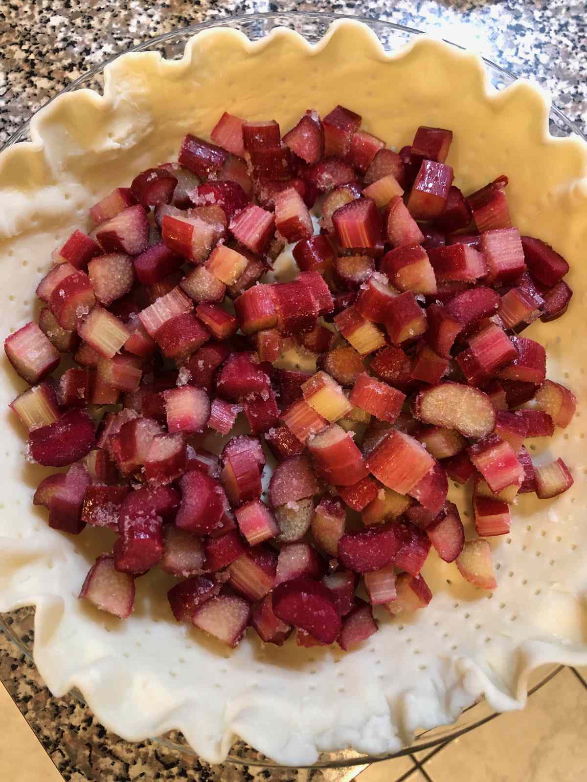 Easy Rhubarb Pie Recipe