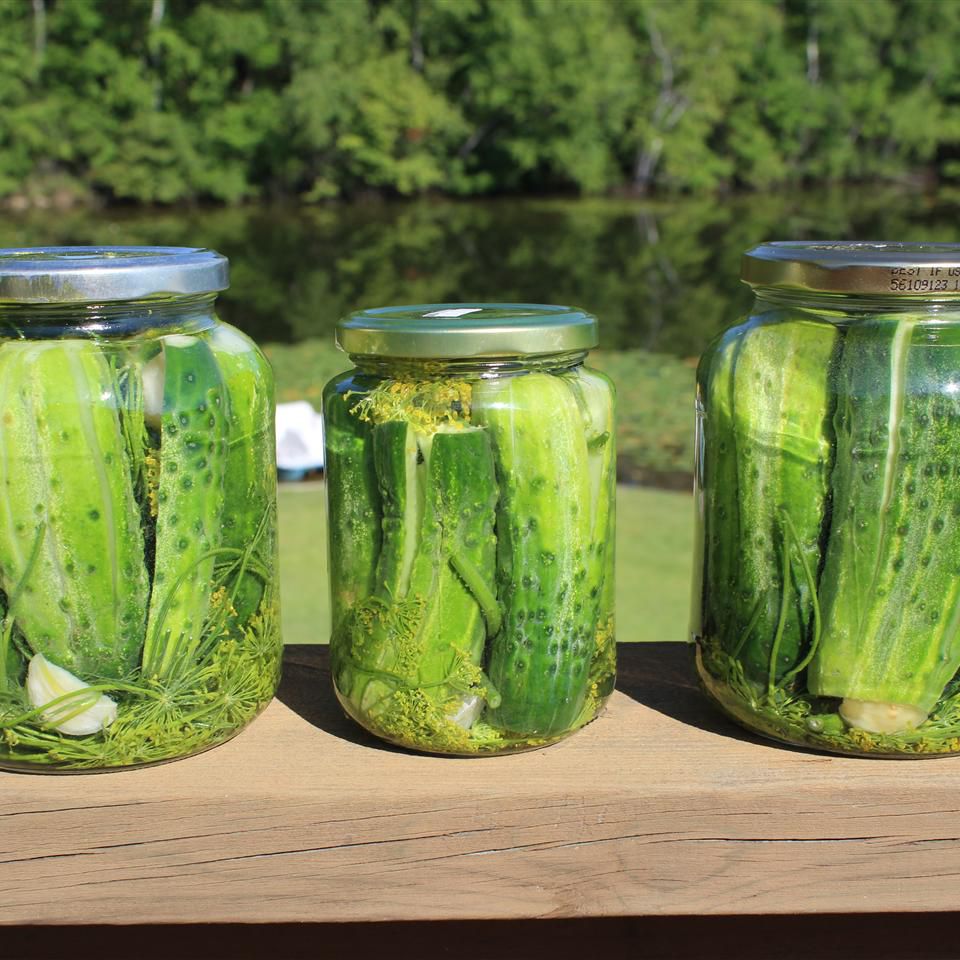 Sous Vide Dill Pickles Recipe