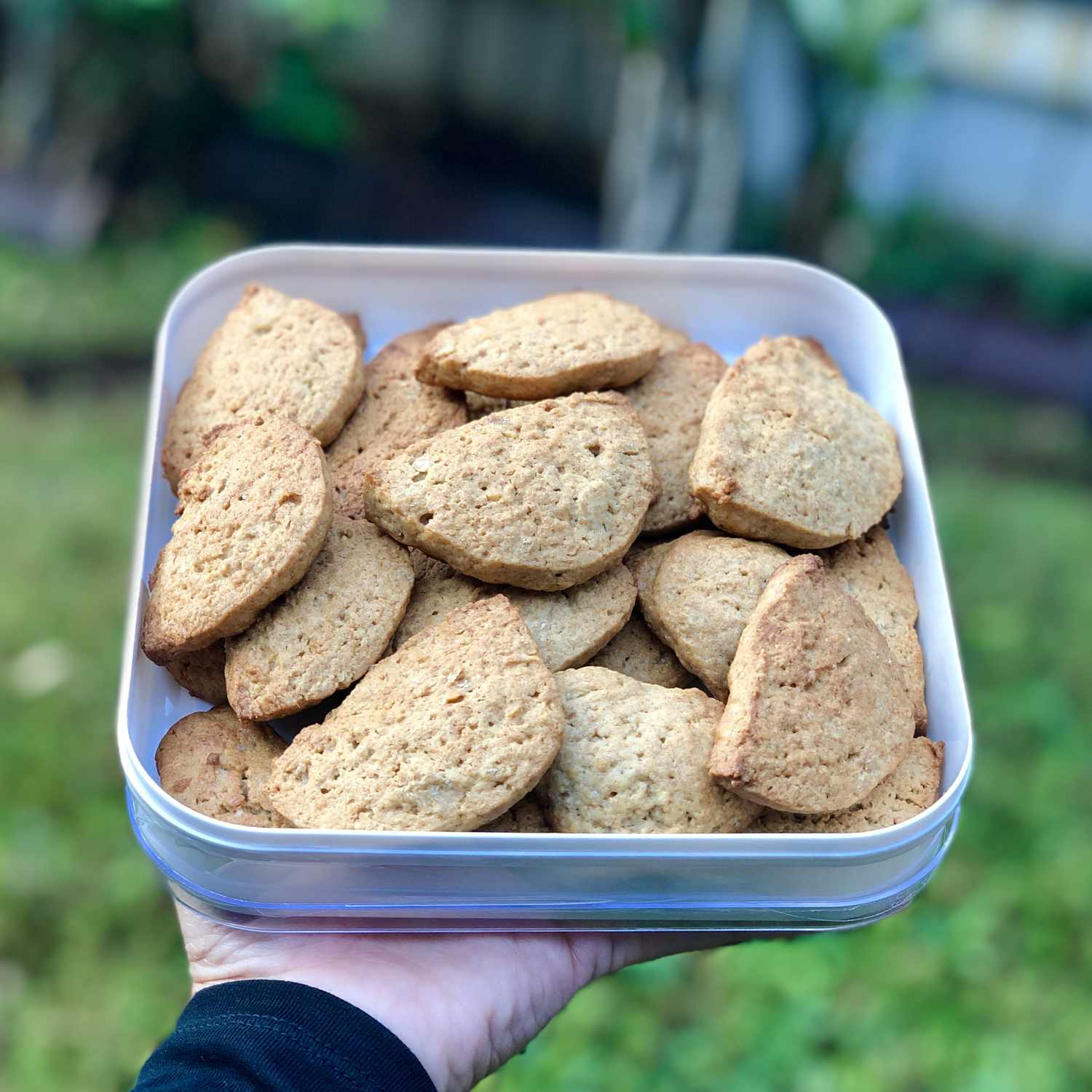 Sweet Sourdough Cookies Recipe