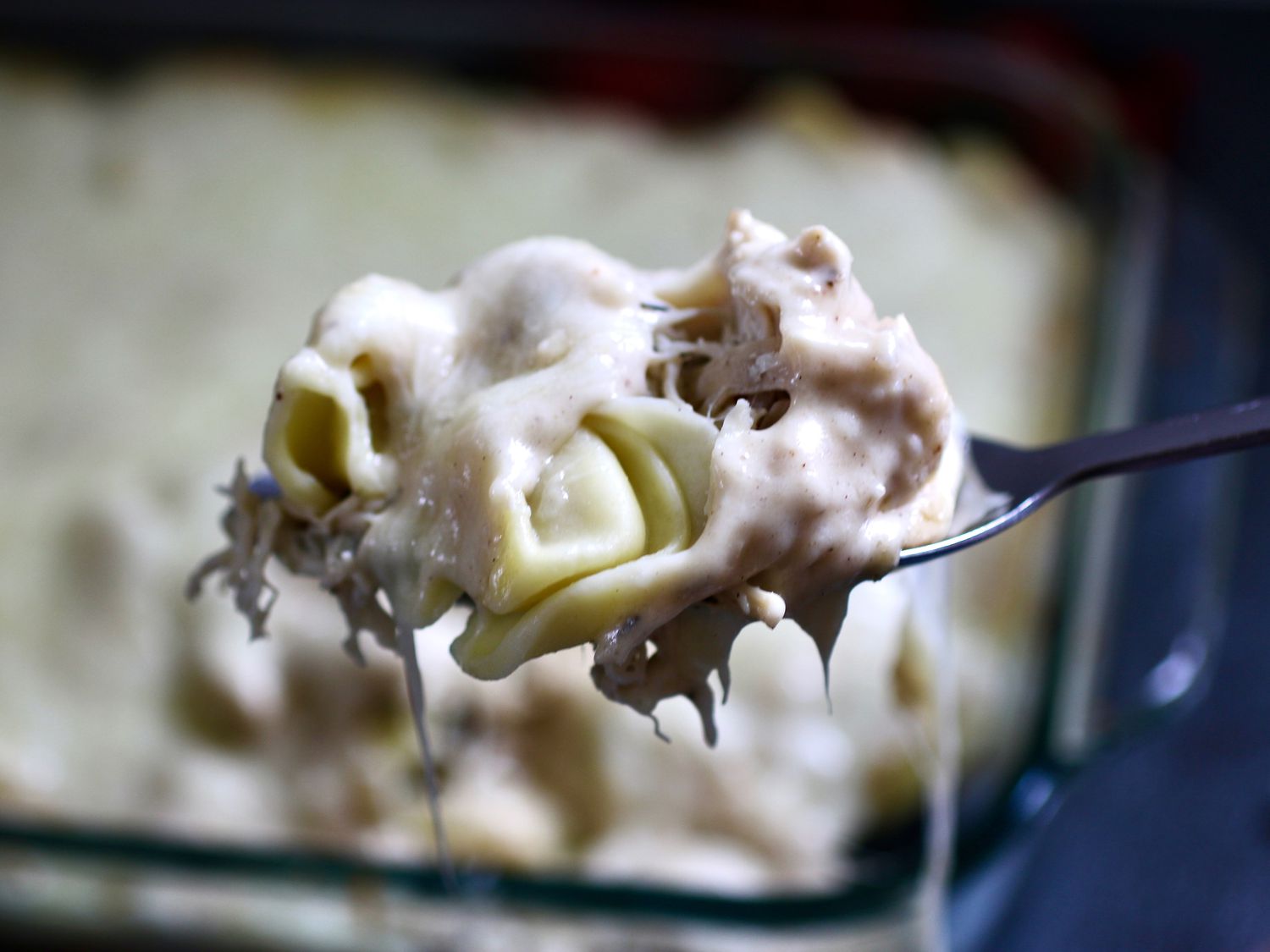 Baked Chicken Tortellini Alfredo Recipe