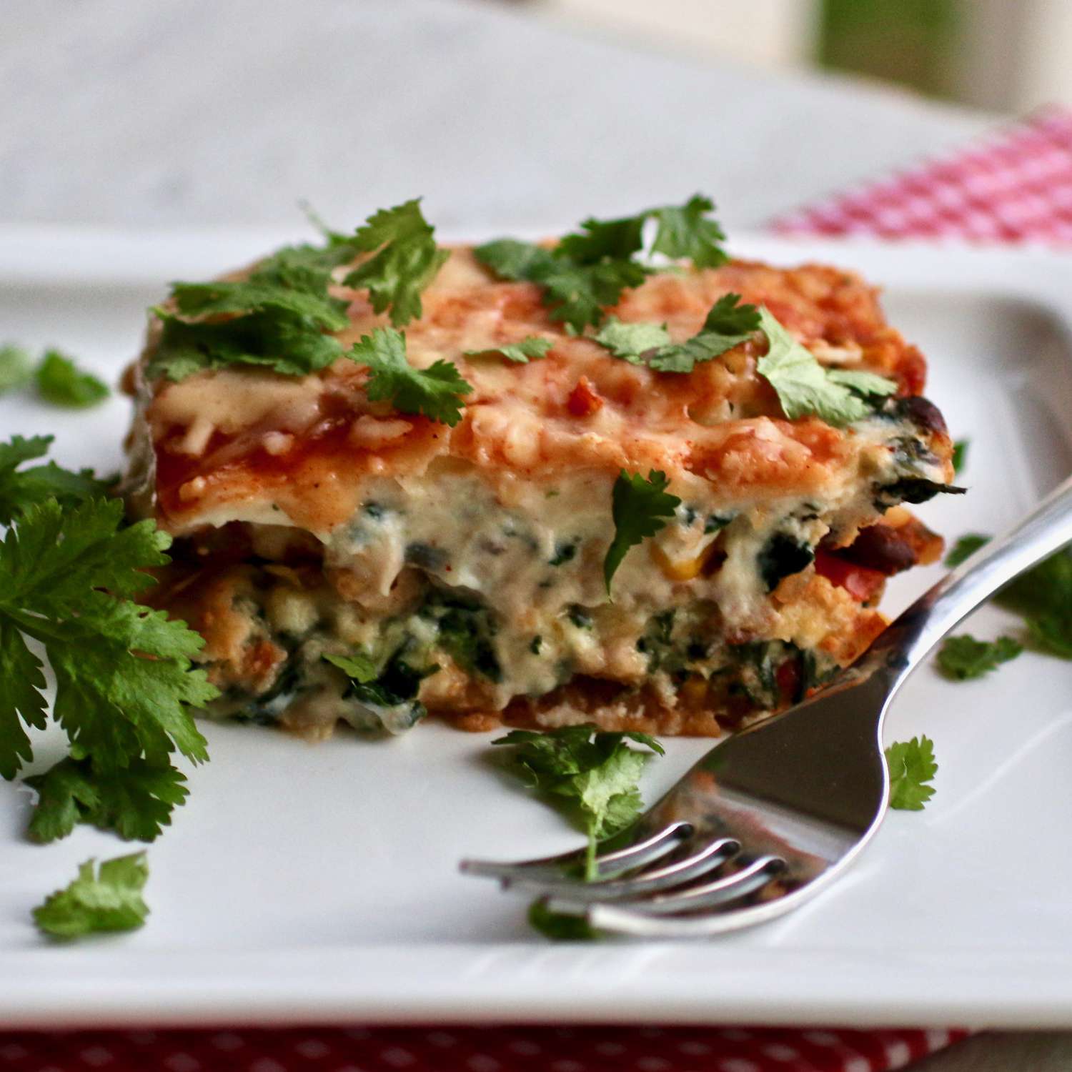 Vegetarian Mexican Lasagna Recipe